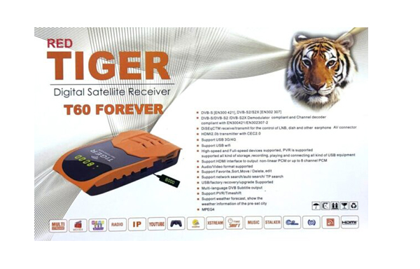TIGER T60 FOREVER 