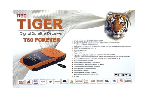 TIGER T60 FOREVER 